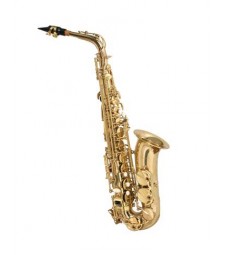 Fontaine Eb Alto Saxophone + Case